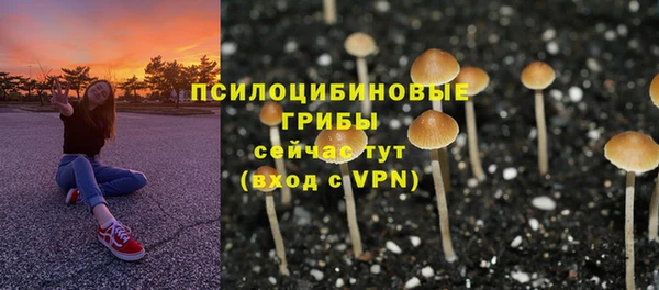 Альфа ПВП Баксан