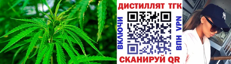 Купить закладки  Кириллов  ТГК жижа 